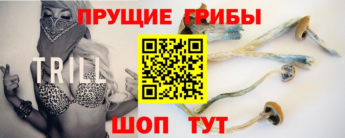 Куйбышев  Галлюциногенные грибы Psilocybe  Вход с VPN 